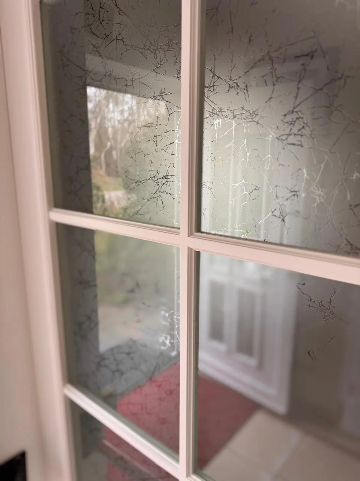 Einfamilienhaus Fenster Sanierung